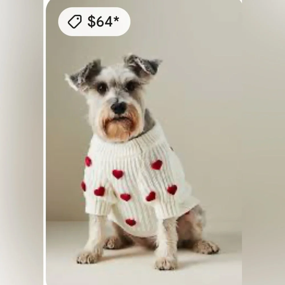 Anthropologie Found Dog Sweater, XL NWT